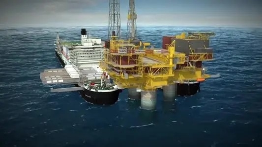 offshore oilfield exploitation platform of ZX company