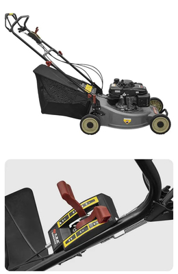 Side Mounted Gasoline Engine Four Stroke Lawn Mower Brush Cutter Weed Remover