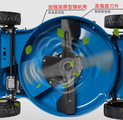 Side Mounted Gasoline Engine Four Stroke Lawn Mower Brush Cutter Weed Remover
