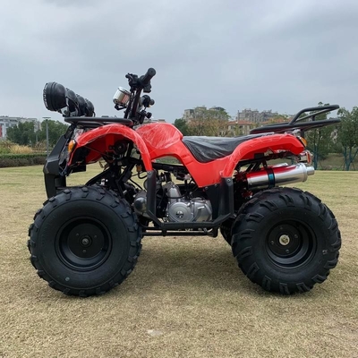Atv Four Wheel Drive Beach Buggy 4X4 1000cc