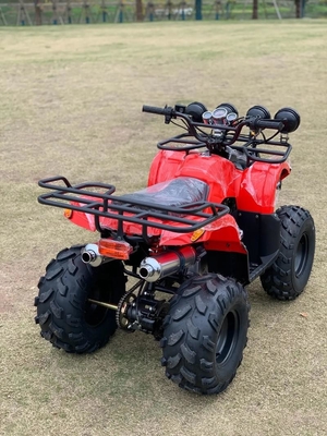 Atv Four Wheel Drive Beach Buggy 4X4 1000cc