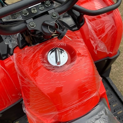 Atv Four Wheel Drive Beach Buggy 4X4 1000cc
