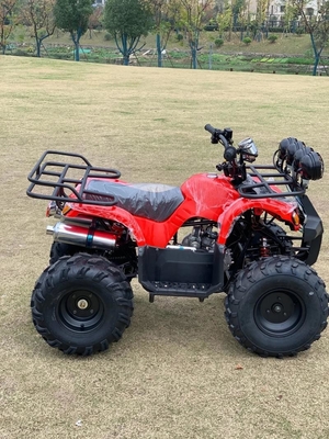 Atv Four Wheel Drive Beach Buggy 4X4 1000cc