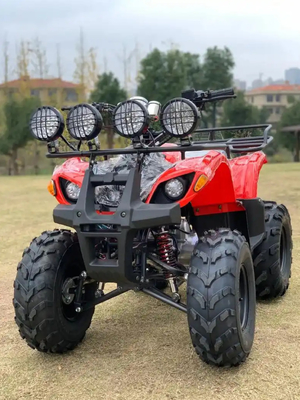 Atv Four Wheel Drive Beach Buggy 4X4 1000cc